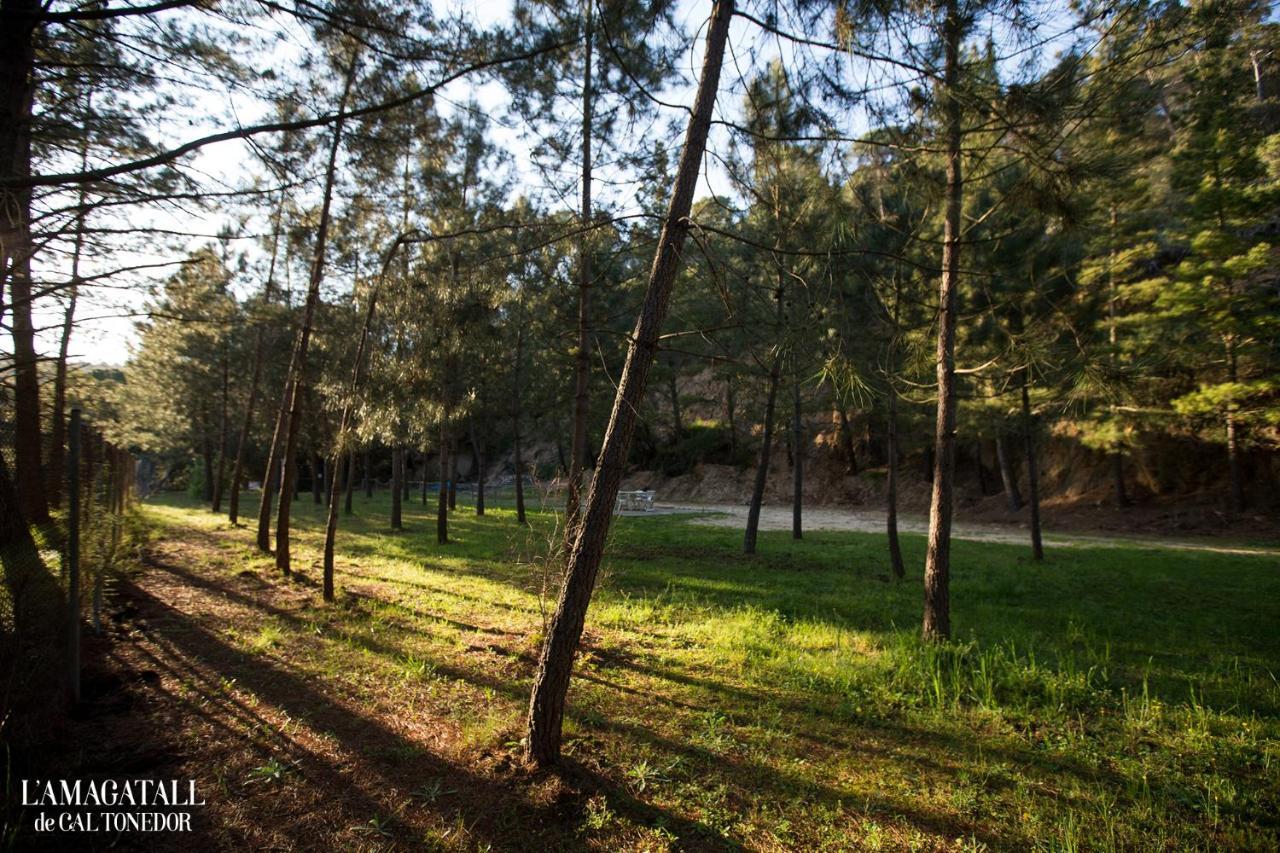 L'Amagatall de Cal Tonedor Vallgorguina Esterno foto