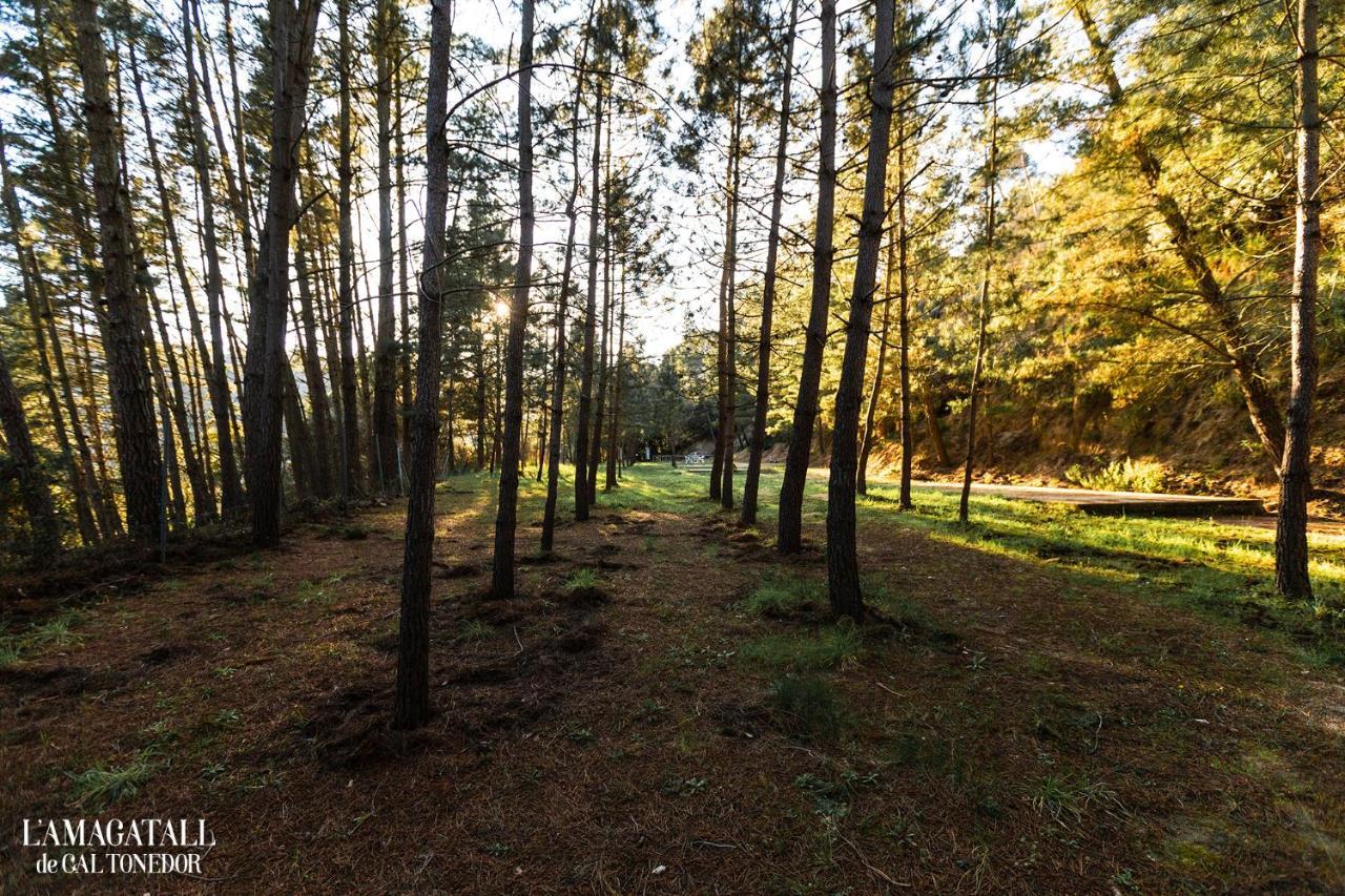 L'Amagatall de Cal Tonedor Vallgorguina Esterno foto